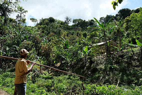 Biodiversity in the Dominican Republic